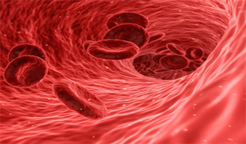 Ai có thể bị Hemophilia và bệnh biểu hiện như thế nào?