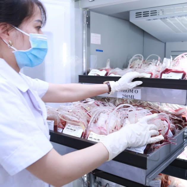Hoạt động của Trung tâm