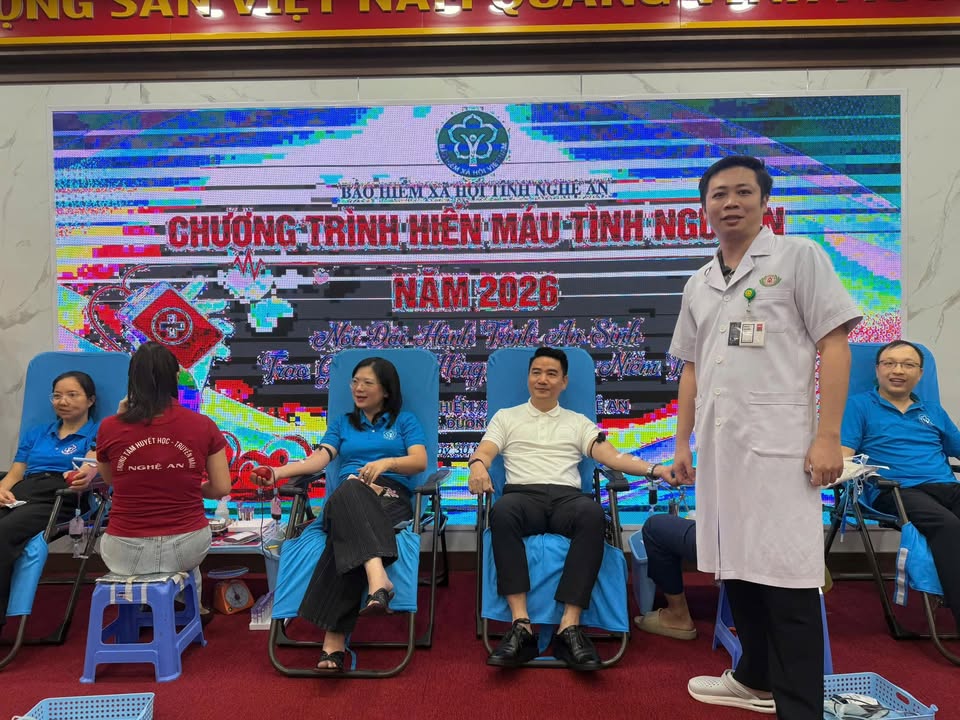 Hoạt động của Trung tâm